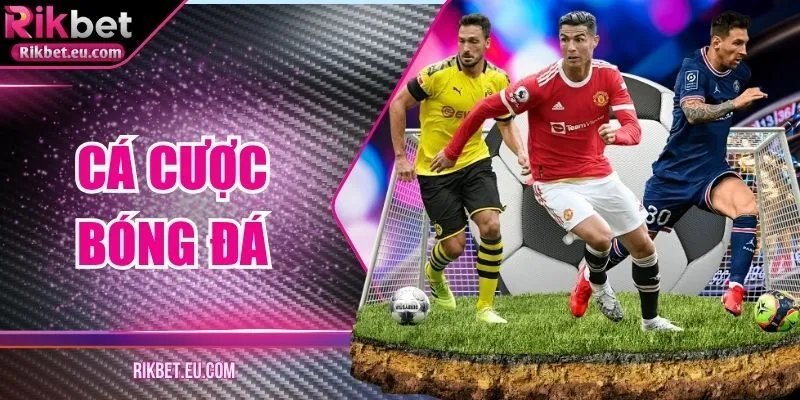 Cá Cược Bóng Đá Hiệu Quả Tại Rikbet Mọi Trận Đấu Hấp Dẫn